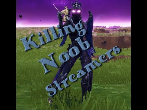 KILLING BOT STREAMERS IN THE FORTNITE COMMUNITY | KILLING PEOPLE WITH TTV, TV, YT AND TWITCH