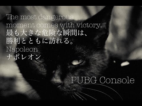 【MAD】『PlayerUnknown's Battlegrounds』実写