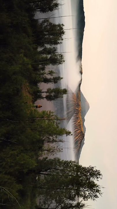 luminary by joel sunny | Jazz Music |  #luminary #shortsvideo #natural #shorts #english