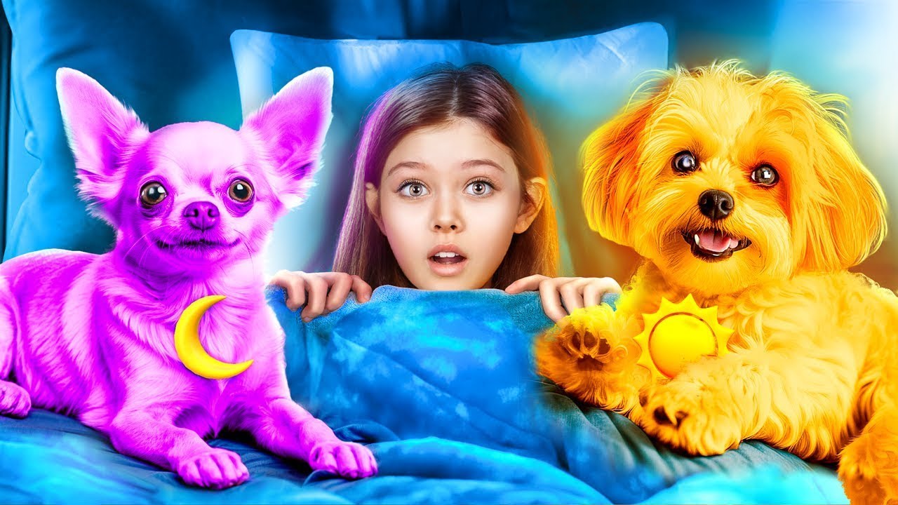 Budujemy Mały Dom! Pomni kontra CatNap! Poppy Playtime 3!