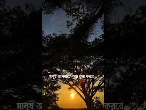 আপনার অবস্থান ভালো মানুষ ,,,,#islamicfigure #viralvideo #islamicshortvideo #islamicstatus