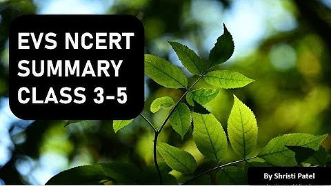 L-11 | EVS | NCERT SUMMARY | CLASS 3 - 5 | CTET | OTHER TEACHING EXAMS | BY SHRISTI PATEL