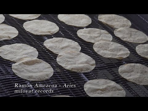 Ramón Amezcua - Aries  (Ramon Amezcua / Bostich / Nortec / Point Loma)