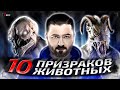 HARD PLAY СМОТРИТ ЗОМБИ ЧЕЗ 10 ПРИЗРАКОВ ДОМАШНИХ ЖИВОТНЫХ