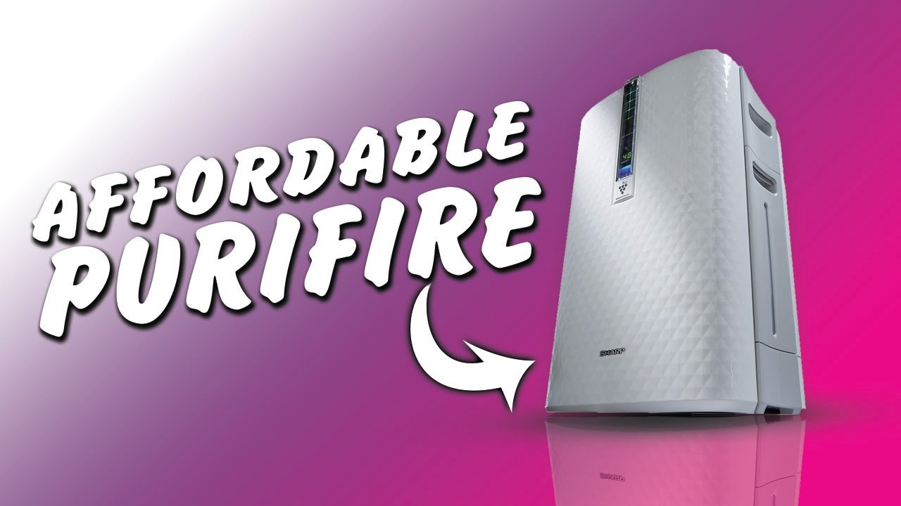 Top 6 Best Air Purifier Humidifier 2023 YouTube