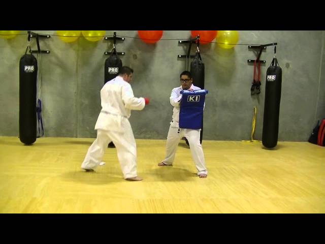 kick pad for karate