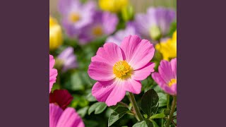 The Drive to a City That Forgot Me.mp3 Thumb