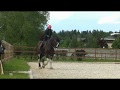 Shire horse dressage. Работа с лошадью частного владельца. Шайр Барни. КСК Новый Век