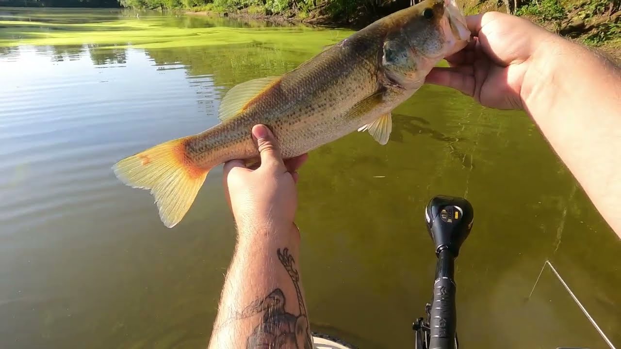 Come bass fishing with me
