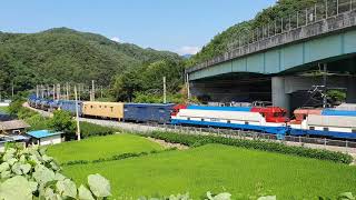 춘양-법전 구간을 지나는 8000호대 견인 철암발 온산행 황산수송 화물 3967열차