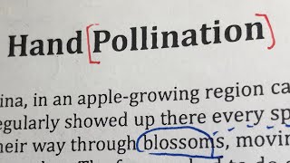 Download lagu DSE English Paper 1 Reading 2018 B2 足本題解