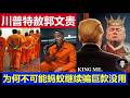 重磅：川普特赦郭文贵为何不可能 蚂蚁们继续骗筹集巨款也没用