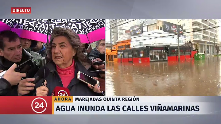 Virginia Reginato realiza balance de por marejadas en Viña del Mar | 24 Horas TVN Chile