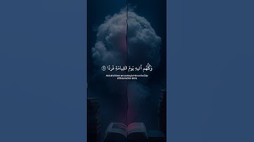 تلاوه هادئة تريح قلبك #قران_كريم #تلاوة_هادئة #تلاوة_خاشعة #اطمأن #misk_elkhatam#quran
