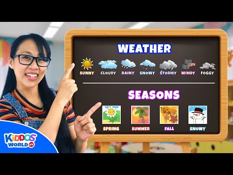 Teaching and Learning Types of Weather and the 4 Seasons to Kids with Miss V