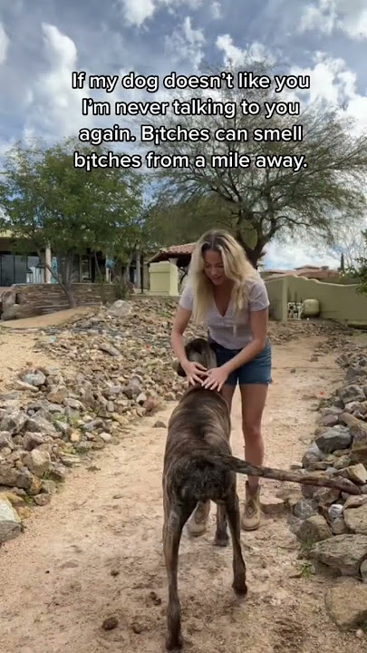 Dogs know better than you do #bitch #country #countrymusic