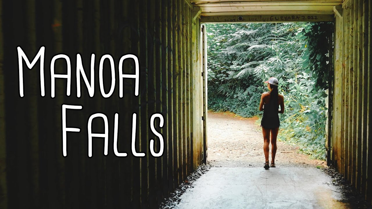 Manoa Falls: Perfect Family Hike Near Waikiki