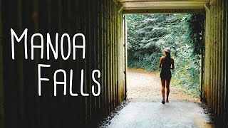 Manoa Falls Perfect Family Hike Near Waikiki