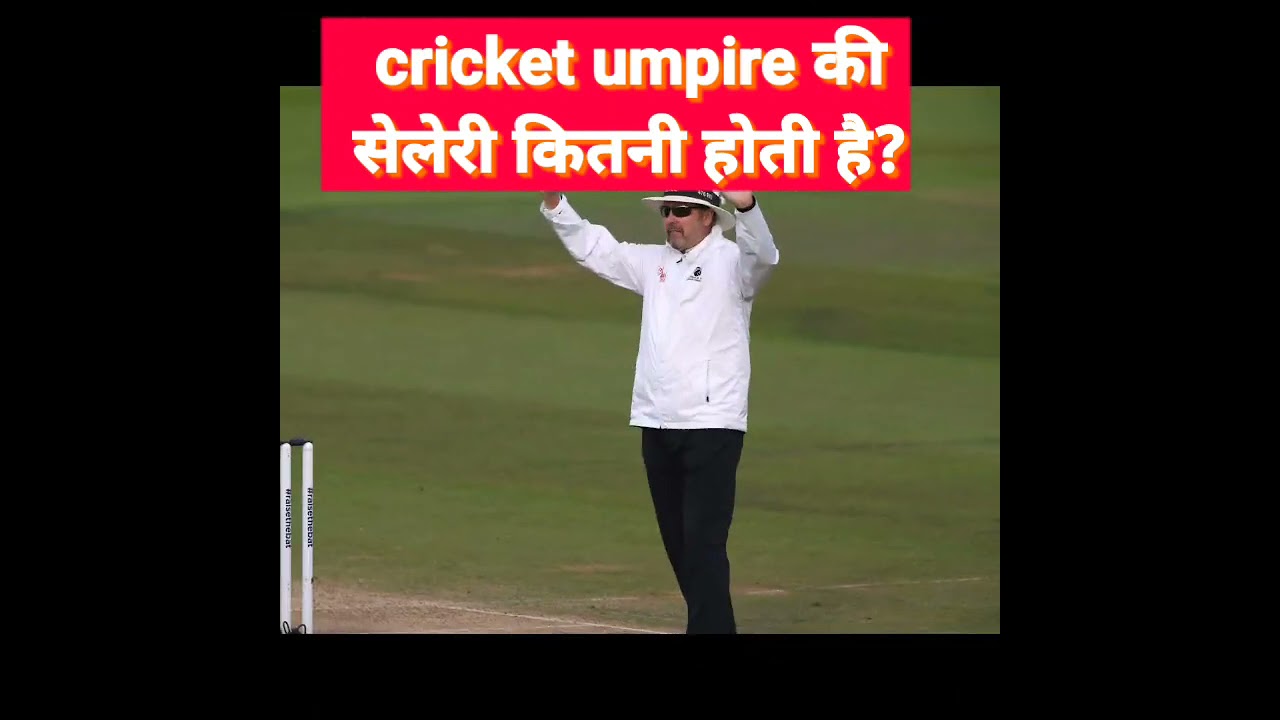 Umpire Cricket Match Umpire Salary shorts 