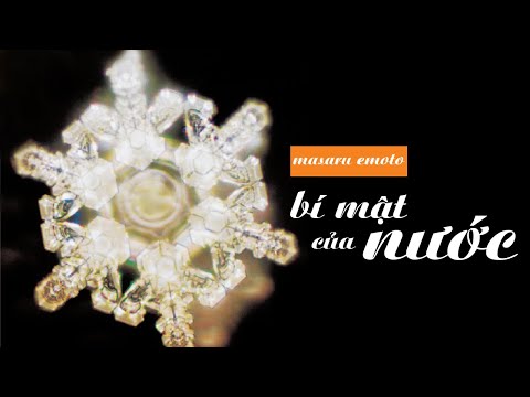 Video [Sách Nói] Bí Mật Của Nước - Chương 1 | Masaru Emoto - youtube