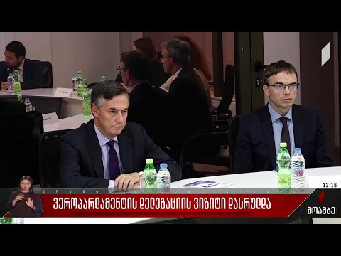 ევროპარლამენტის დელეგაციის ვიზიტი დასრულდა