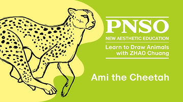 002 Ami the Cheetah | Learn to Draw Animals with ZHAO Chuang