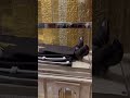 The Incorrupt Body Of Saint Padre Pio At San Giovanni Rotondo Italy mp3