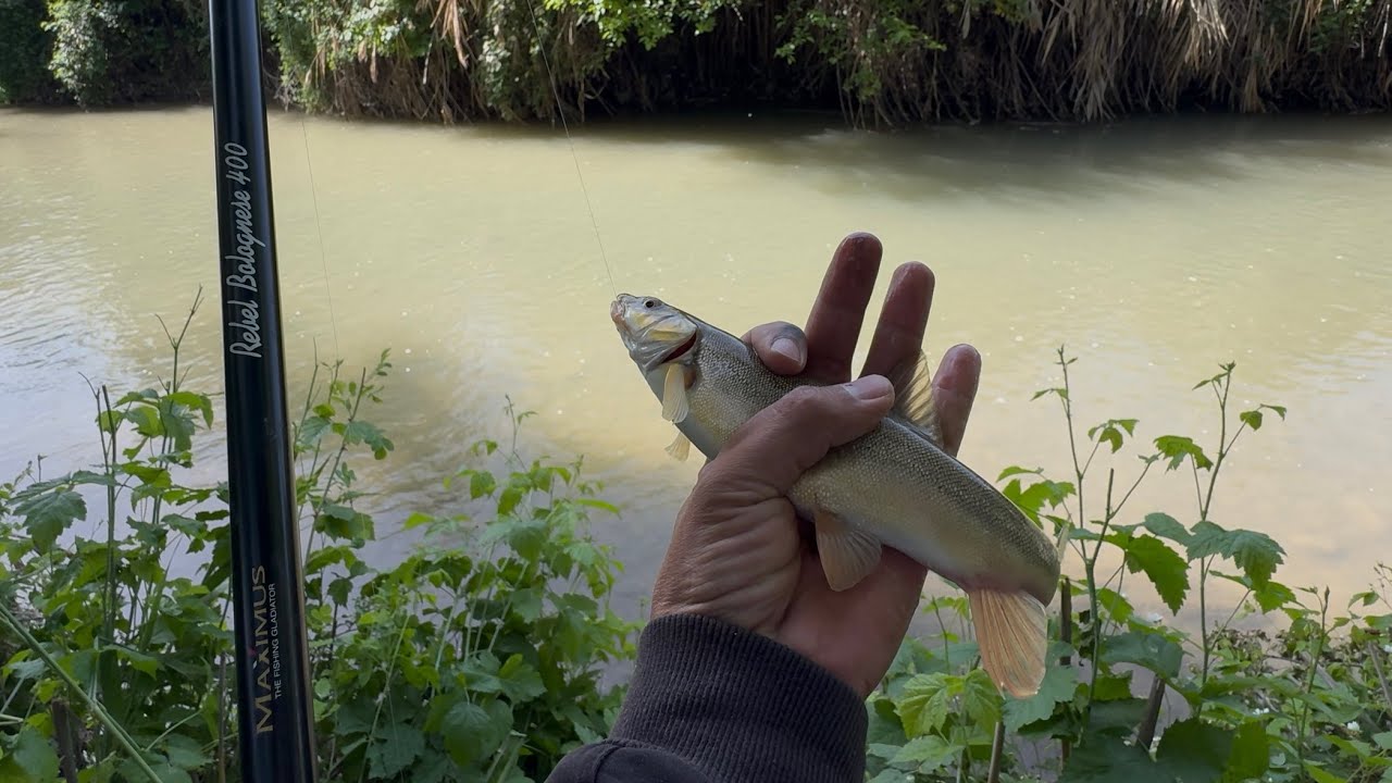Бу манзарага Гап булиши мукин эмас Маринкахам жуда куп экан бу сойда