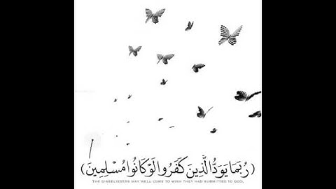 الر تلك آيات الكتاب و قرأن مبين