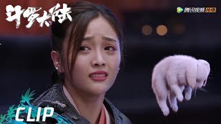 EP40 Clip 小舞魂兽身份暴露，唐三真情表白【斗罗大陆 Douluo Continent】