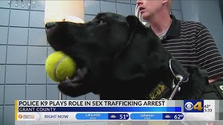 Celebrity K-9 assists Grant County Sheriff’s Office with human trafficking investigation Profile