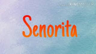 Senorita|Shawn Mendes,Camila Cabello||