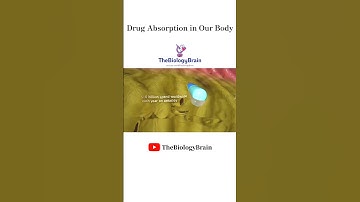 How Drugs Are Absorbed in Your Body. #medicine #health #shorts #youtubeshorts