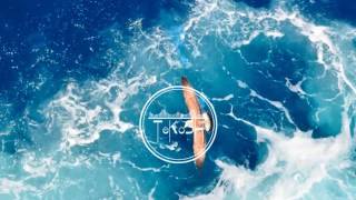 Kinkajous Vinam Chpln Remix