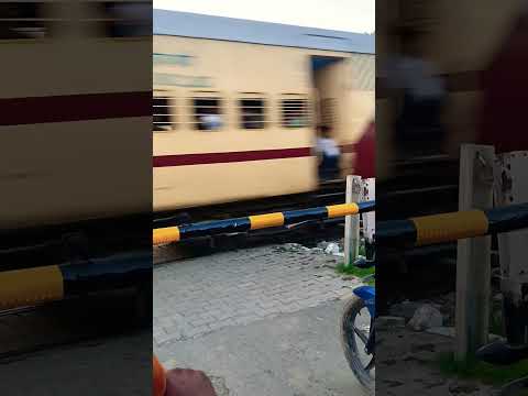 Machi Machi Short Video