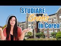 Come STUDIARE IN COREA GRATIS || Guida alle Borse di studio