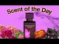 SOTD: Orchid Prairie by Rasasi - a wild, weird, and wonderful beast of a fragrance