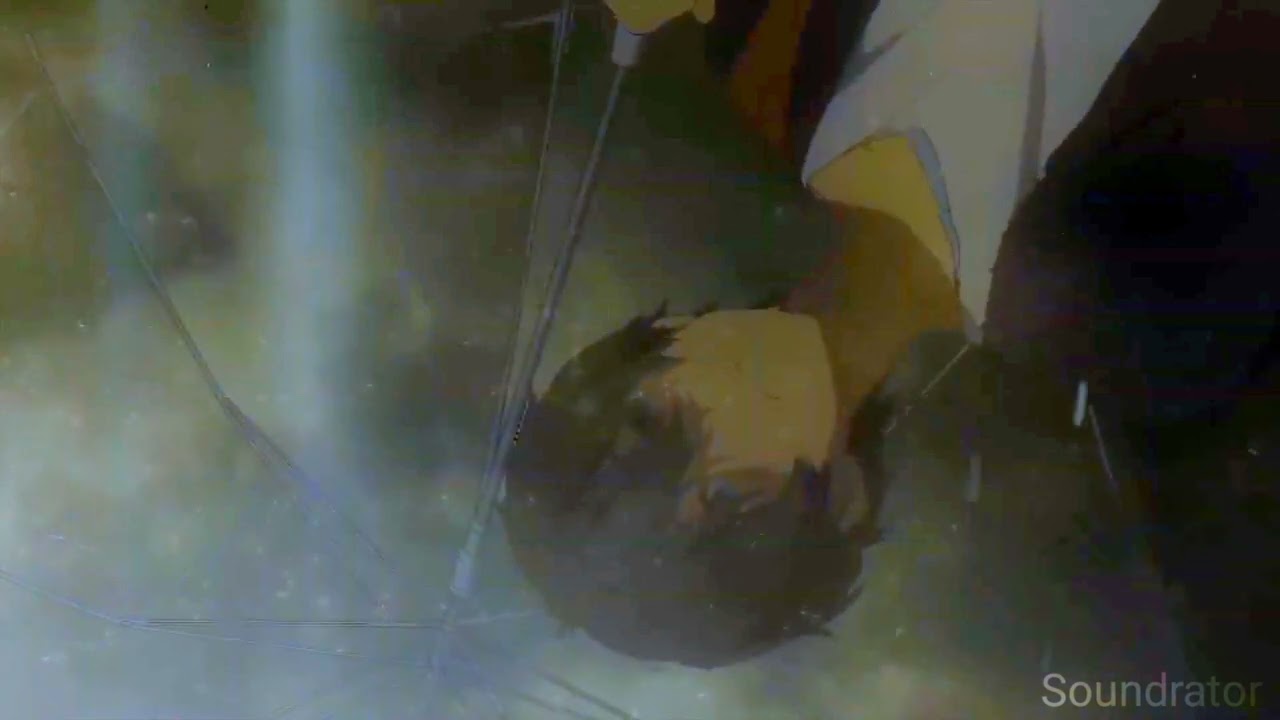 Gotye - Somebody That I Used To Know (Slowed+Reverb)