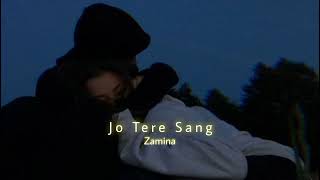 Video thumbnail of "Jo Tere Sang (Slowed+Reverb) | Mustafa Zahid | Blood Money | Zamina"