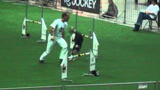 AWC 2013 Team Jumping Large 1st Place - Helmut Paulik AUT Lane