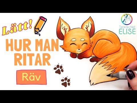 Video: Hur Man Ritar En Räv