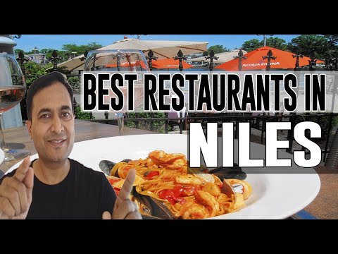 Best Restaurants and Places to Eat in Niles, Illinois IL - YouTube