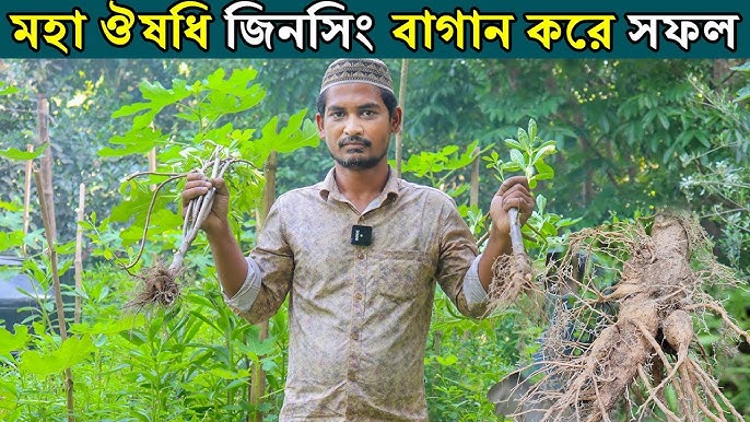 Porno: Xotinni olomon erkaklar sikishadi, er esa spermani yalaydi.