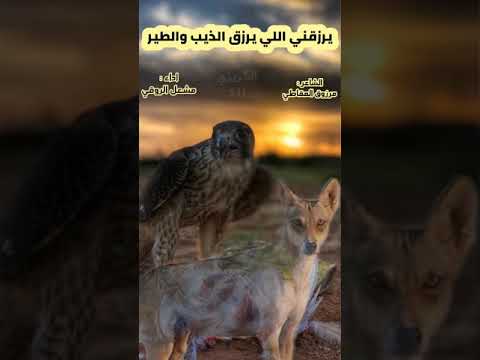 يرزقني اللي يرزق الذيب والطير كلمات الشاعر مرزوق المقاطي اداء مشعل الروقي 