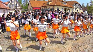 京都橘ブルーメンパレード2016 Kyoto Tachibana SHS Band (Apr 24, 2016 AM) 京都橘ブルーメンパレード2016 Kyoto Tachibana SHS Band (Apr 24, 2016 AM)