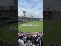 トレカショッププロデューサー１日のVlog#ポケギャン #ポケカ開封 #ポケカ #甲子園