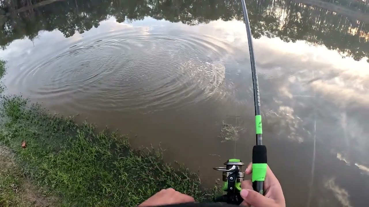 Ep2: a new year in the water winter/fall bass fishing with Zman lures
