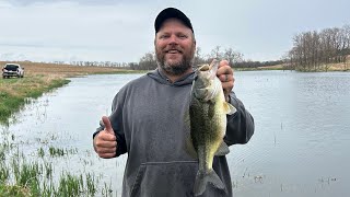 beaver trapping for free has major perks