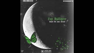 ZayHilfigerrr - What Do You Mean ( Official Audio )