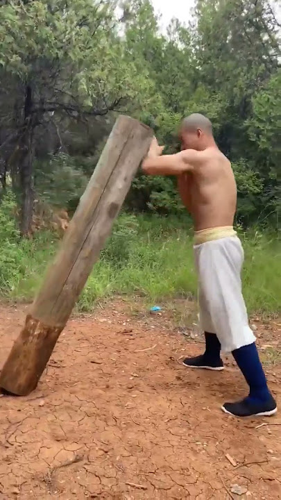 REAL Shaolin Kung Fu (training) @ShaolinKungfuYanhao